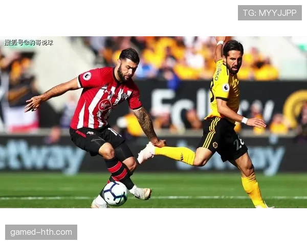 波尔图状态回暖，新秀闪耀后防线筑起钢铁长城